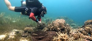 1555011748081 1898131985