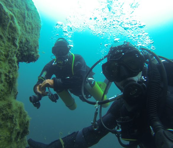 DCIM106GOPRO